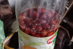 IMG_20220305_174906-scaled