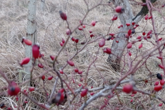 IMG_20220305_174942-scaled