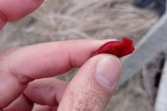 IMG_20220305_175002-scaled